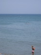 Governor's Beach