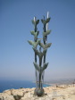 Cape Greco (Cavo Greco) Viewpoint