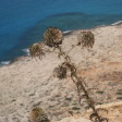Cape Greco (Cavo Greco) Viewpoint