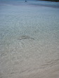 Landa Beach