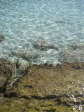 Nissi Beach