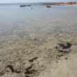 Agia Thekla Beach