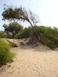 Grecian Bay Beach