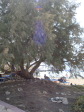 Ammos tou Kampouri Beach