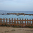 Fig Tree Bay