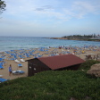 Fig Tree Bay