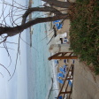 Fig Tree Bay