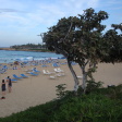 Fig Tree Bay