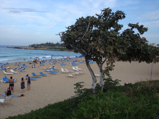 Fig Tree Bay