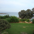 Fig Tree Bay