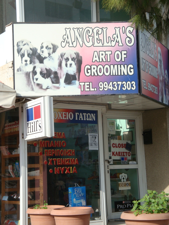 Angela's Art of Grooming