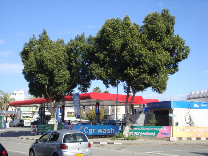 Esso Petrol Station