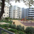 Pandora's Park
