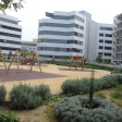 Pandora's Park