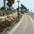 Le Meridien Limassol Spa & Resort