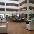 Le Meridien Limassol Spa & Resort