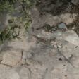 Cape Greco (Cavo Greco) Viewpoint