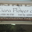 Tiara Flower Shop