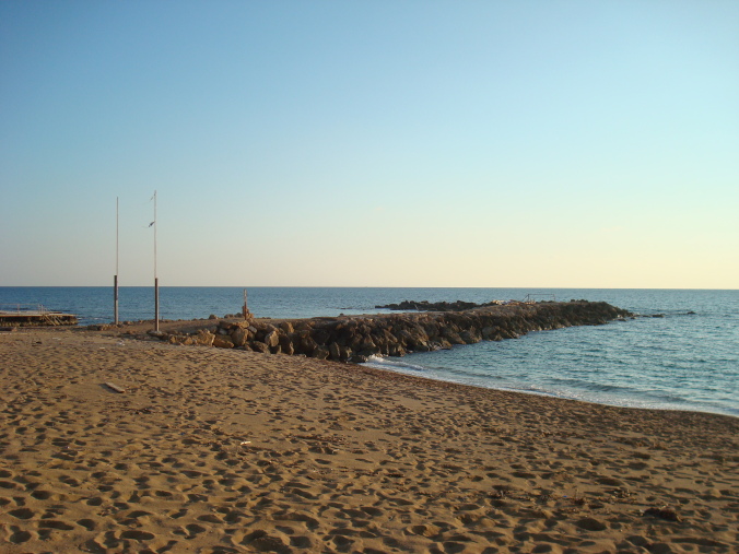 201104_Paphos_Ledra_Beach_Coral__20_-1
