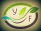 Yiallourou Eurofoods LTD