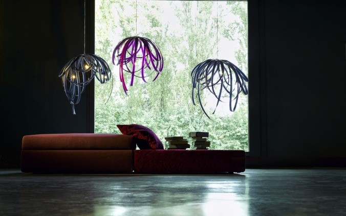 Pierides in Light 