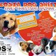 Nicosia Dog Shelter Early Christmas Bazaar