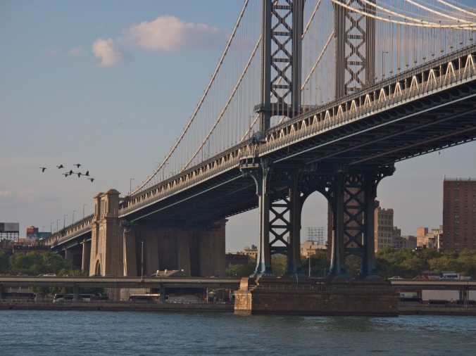 Brooklyn Bridge Park