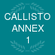Callisto Annex 1