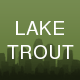 Lake Trout