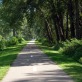Limassol Walk