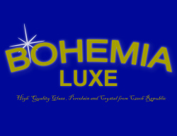 Logo image processing...
