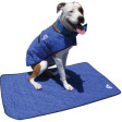 dog in a cooler vest