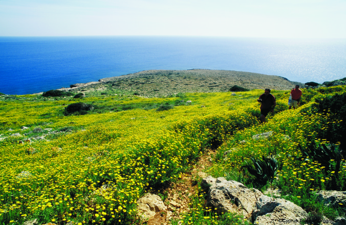 Cape Greko National Forest Park