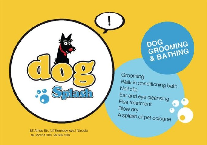 Dog Splash