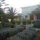 VanMarkou Services