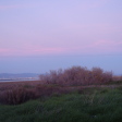 Lady's Mile Beach  