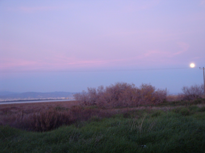 Lady's Mile Beach