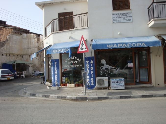 Andreas Chr. Ioannou F.C.C.A.