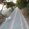 Agios Tychonas Armonia Beach  