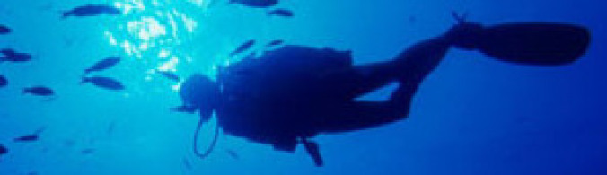 Scuba dive trip to Sharm El Sheikh