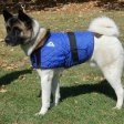 dog in a cooler vest