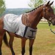 horse cooling blanket