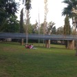 The bridge