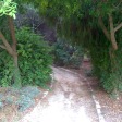 Path