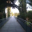 The bridge