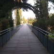 The bridge