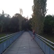 The bridge