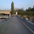 The bridge