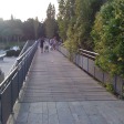 The bridge