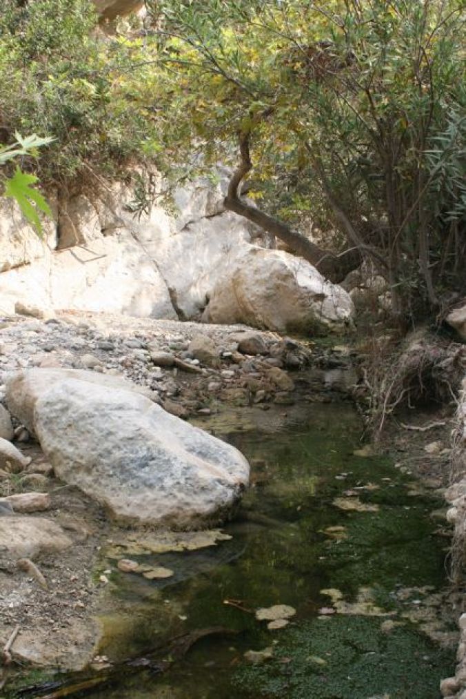 Avakas Gorge